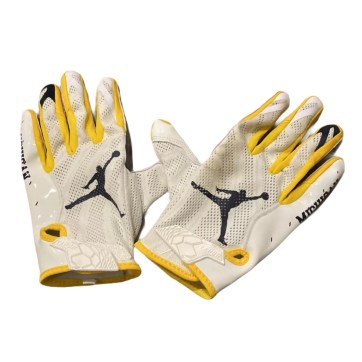 jordan-vapor-knit-michigan