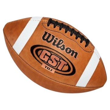 WILSON TDJ OFFICIAL LEATHER